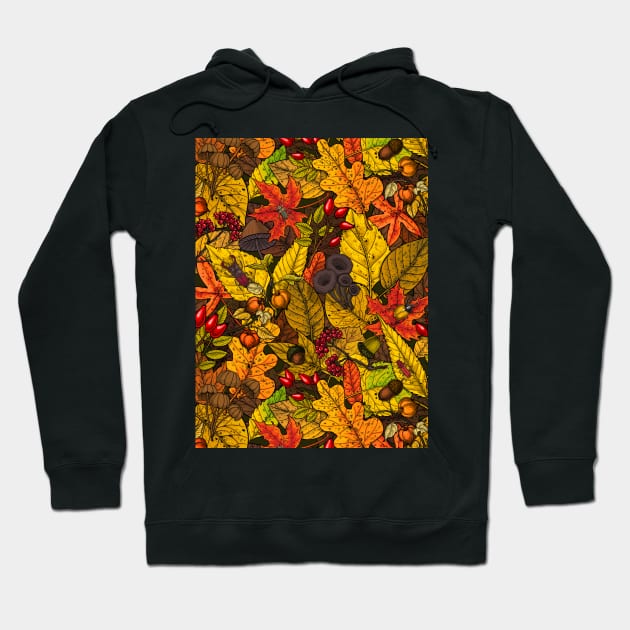 Autumn treasures 2 Hoodie by katerinamk